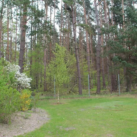 Ferienwohnung Seebaer Graal-Mueritz